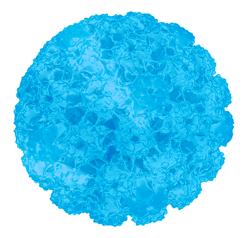 PDT et Papillomavirus